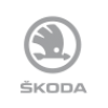 Skoda logo DK